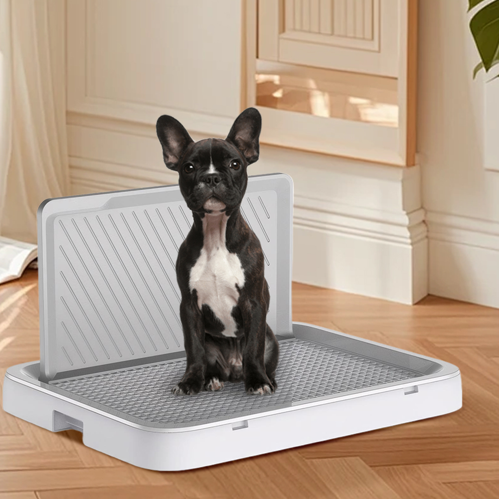 Bandeja Sanitaria para Perros  - Bench Dog Hole reseña y precio